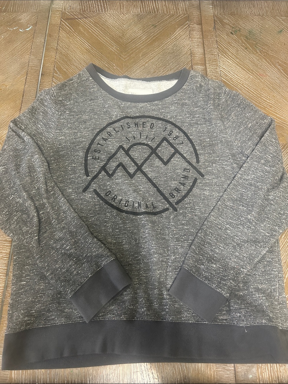 Aeropostale Men's Gray Heather Mountain Graphic Crewneck Sweater
